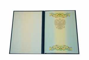 Диплом магистра с 2012 по 2013 годы образец 3