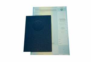 Диплом магистра с 2012 по 2013 годы образец 4