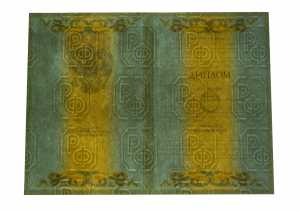 Диплом специалиста с 2004 по 2008 годы образец 1