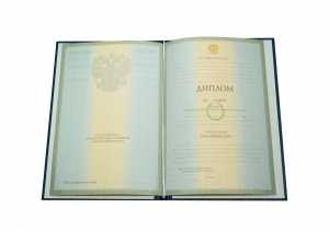 Диплом специалиста с 2004 по 2008 годы образец 2