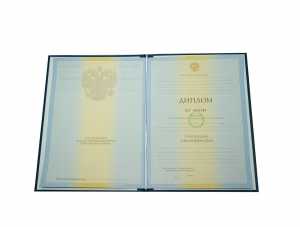 Диплом специалиста с 2009 по 2011 годы образец 2