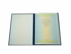 Диплом специалиста с 2009 по 2011 годы образец 3