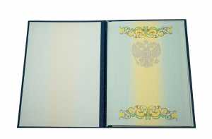 Диплом специалиста с 2012 по 2013 годы образец 3