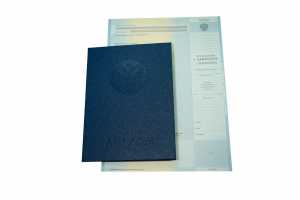 Диплом специалиста с 2012 по 2013 годы образец 4