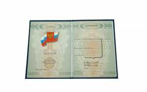 Диплом ПТУ с 2009 по 2010 годы образец 2