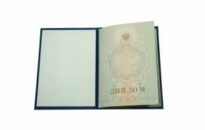 Диплом ПТУ с 2009 по 2010 годы образец 3