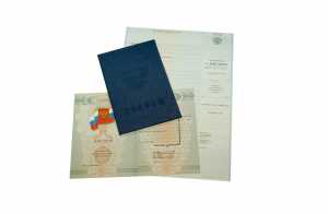 Диплом ПТУ с 2009 по 2010 годы образец 5