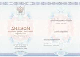 Диплом о среднем специальном образовании 2014, 2015, 2016, 2017, 2018, 2019, 2020, 2021, 2022, 2023, 2024 года