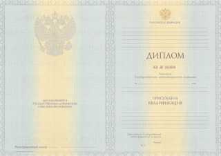 Диплом специалиста 2012, 2013 года