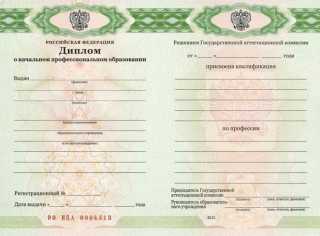 Диплом ПТУ 2011, 2012, 2013, 2014, 2015, 2016, 2017, 2018, 2019, 2020, 2021, 2022, 2023, 2024 года