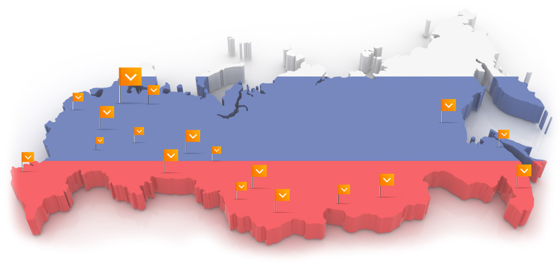Оперативно доставим ваш заказ в любой уголок России